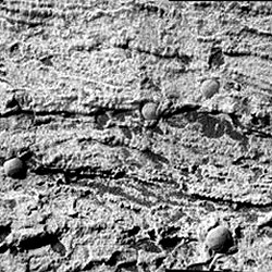 رگه‌های اریب نقش بسته شده بر روی سطح مریخ